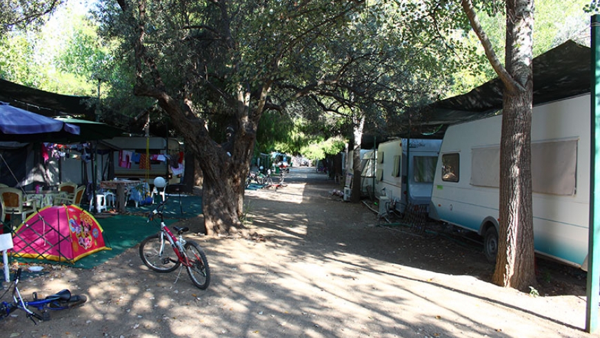 milos-camping-in-evia-xoros-8