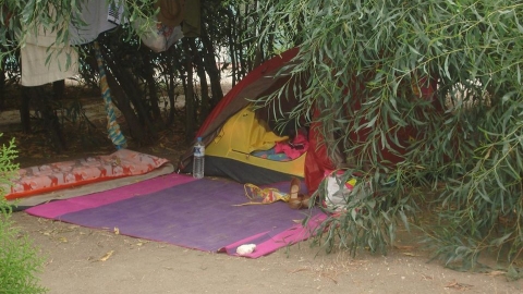 Camping Αγία Άννα Εύβοια