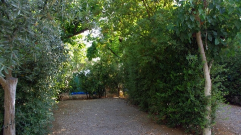 Camping Paralio Astros
