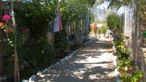 Κάμπινγκ Παράλιο Άστρος