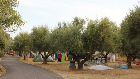 campplaces01
