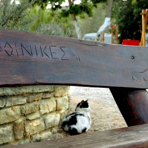 Camping Finikes