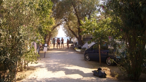 Φοινικούντα Κάμπινγκ