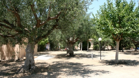 Κάμπινγκ Κορώνη