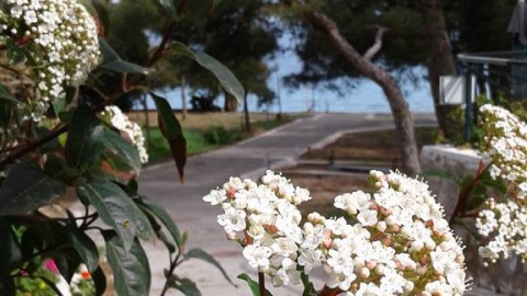 Camping Palaia Epidavros