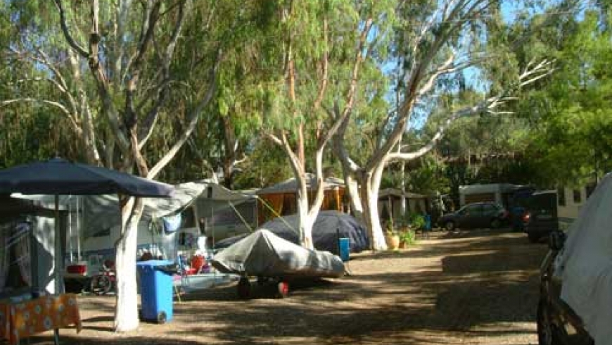 posdion_camping_tents