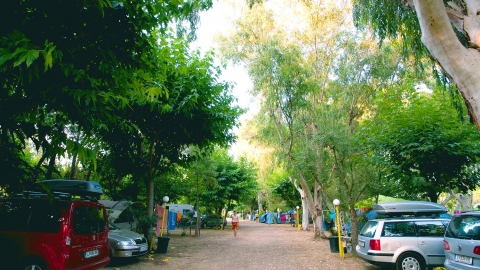 camping-palouki-amaliada-peloponesse-greece.8