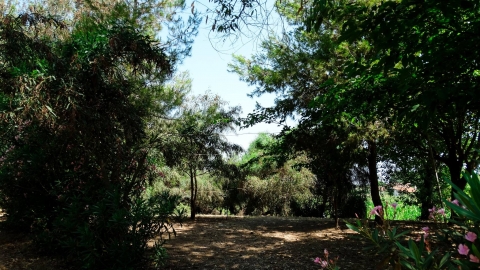 Kourouta Camping Elis