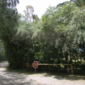 Camping Kourouta