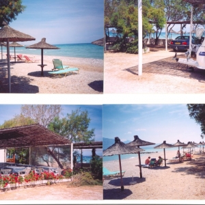 Blue Dolphin Camping