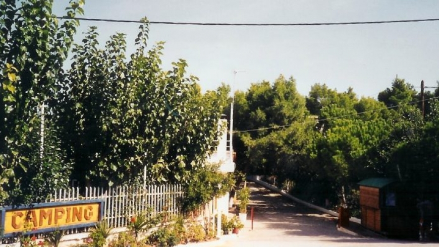 σάρωση0003-800x400