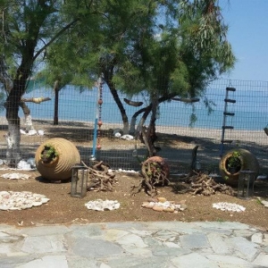 Camping Leonidas