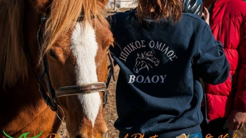 Αποτέλεσμα εικόνας για Ιππικός Όμιλος Βόλου