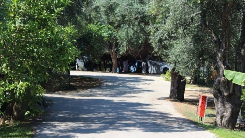 Πρέβεζα, Κάμπινγκ