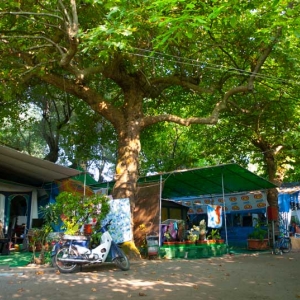 Filippion Camping