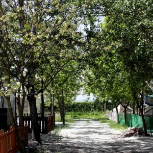 Odysseia Camping & bungalows